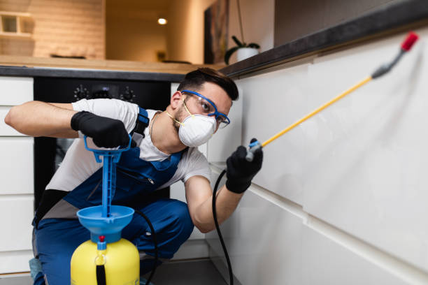 Best Pest Inspection Near Me  in Channel Islands Beach, CA
