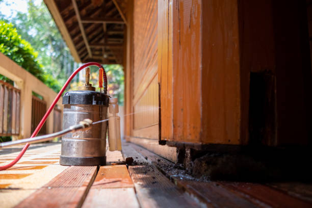 Pest Control for Restaurants in Channel Islands Beach, CA